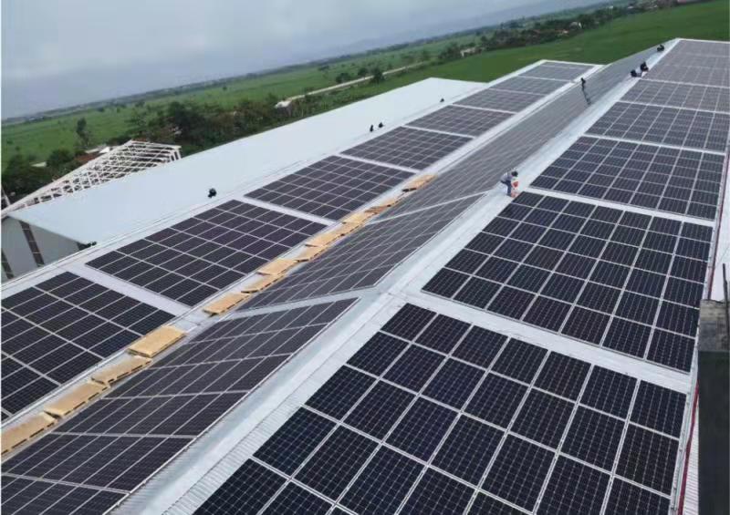 1617112023484054750.png 1617112023484054750.png