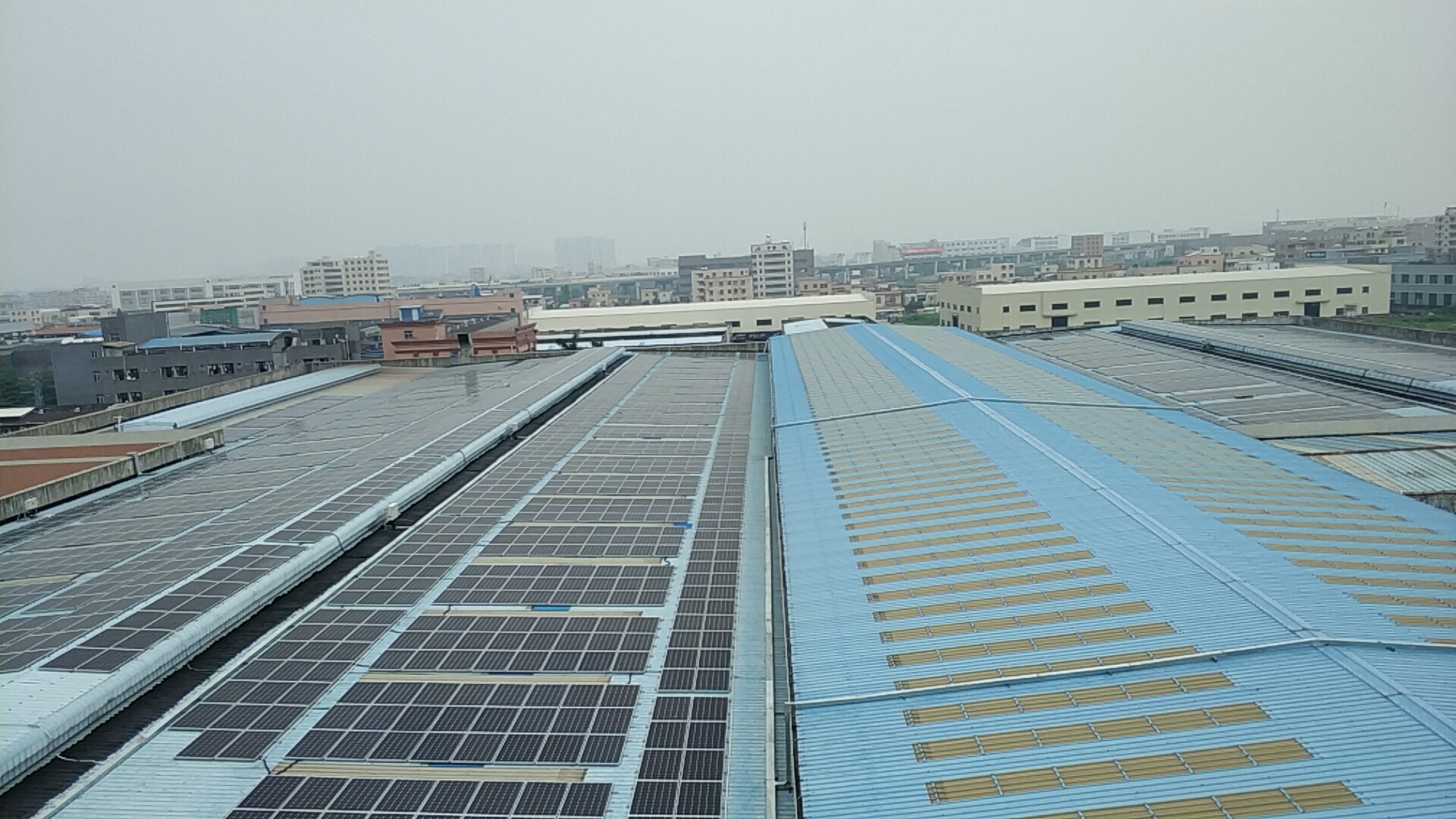 1617333655234087978.jpg 1617333655234087978.jpg